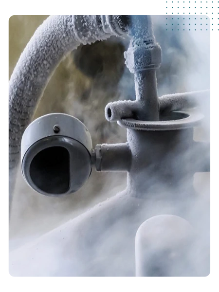 Nitrogen based services for corrosion prevention and system integrity